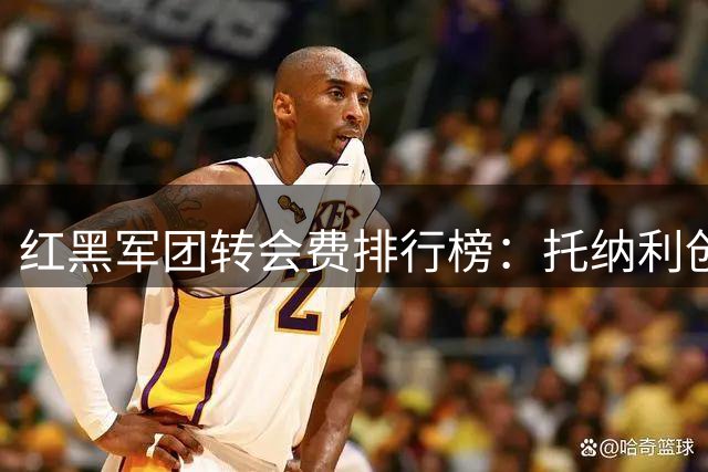 红黑军团转会费排行榜：托纳利创纪录，球星身价大比拼