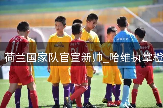 荷兰国家队官宣新帅 哈维执掌橙衣军团迎战克洛普