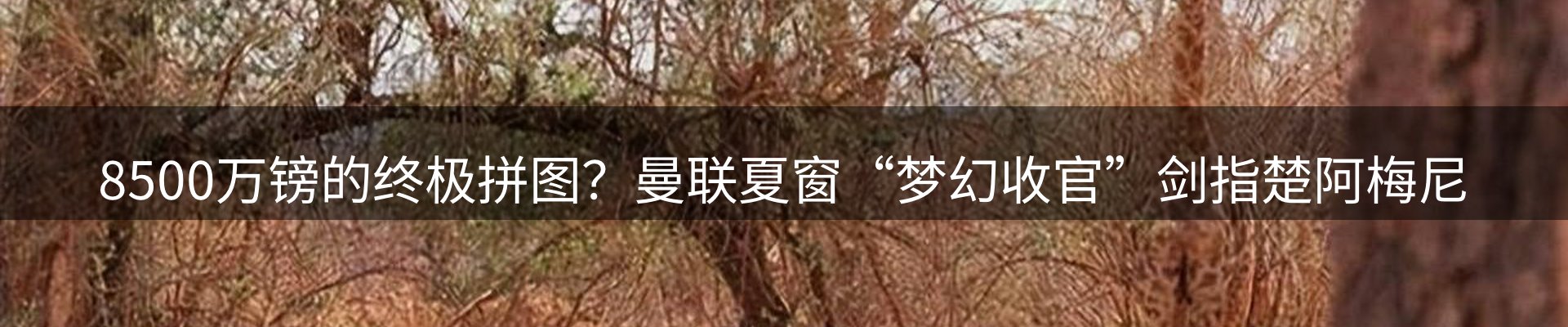新闻中心